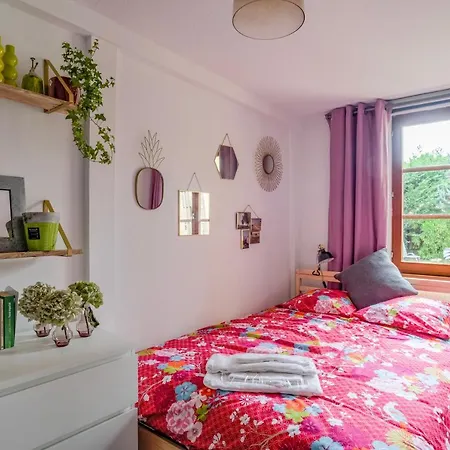 Agence Pro - Maison Typique Alsacienne Avec 4 Chambres Et Parking * ستشيلتيغهيم